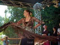 _DSC0782