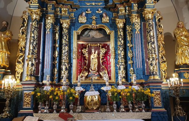 Pielgrzymka do Wąwolnicy